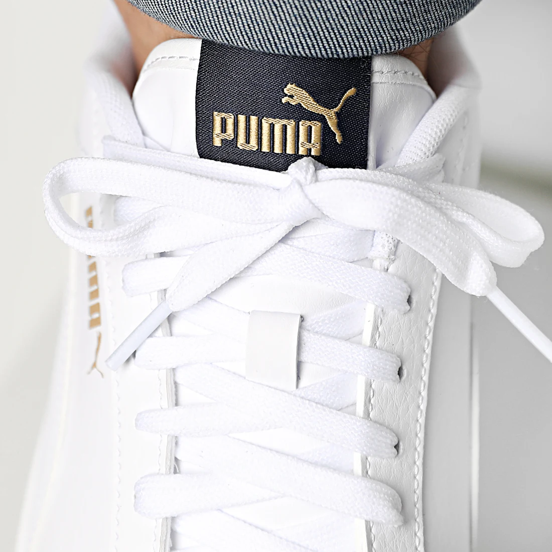 puma_241849_309668_05_20201126T151516_03