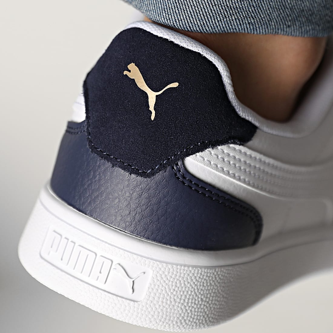 puma_241849_309668_05_20201126T151518_04