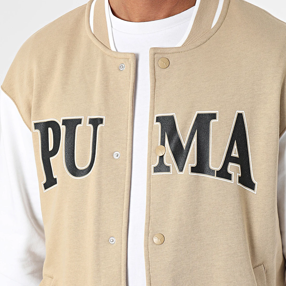 puma_398238_678971_83_20231212T143305_02