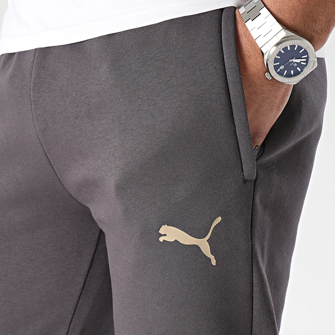 puma_398292_771941_42_20240103T154755_02